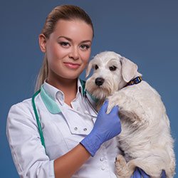 Вакцинация